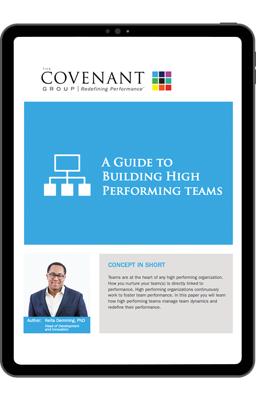 BUILDING HIGH PERFORMING TEAMS